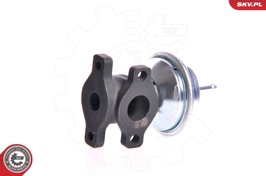 EGR Valve 14SKV005