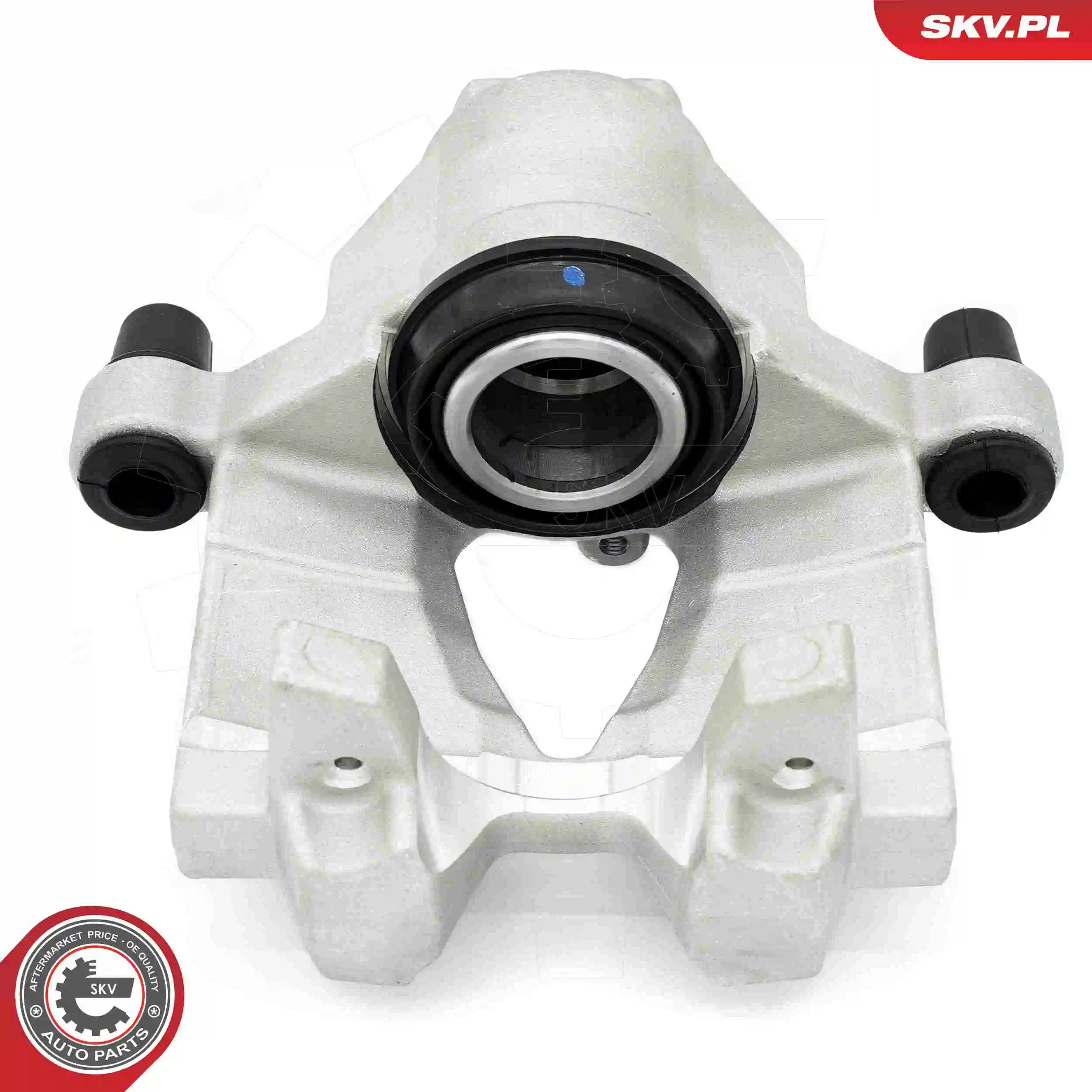 ESEN SKV 56SKV973 Brake Caliper