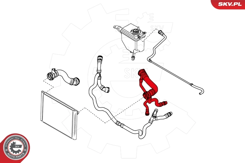 Radiator Hose 24SKV262