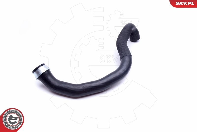 Radiator Hose 43SKV661
