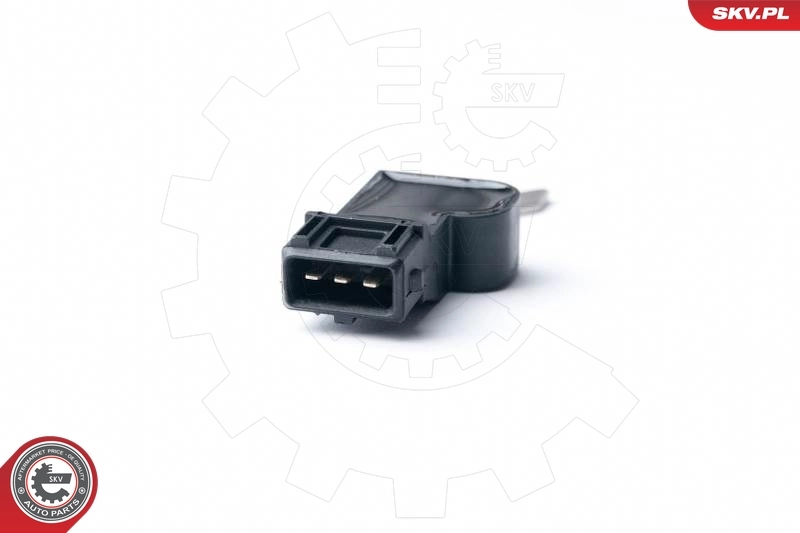 Sensor, camshaft position 17SKV242