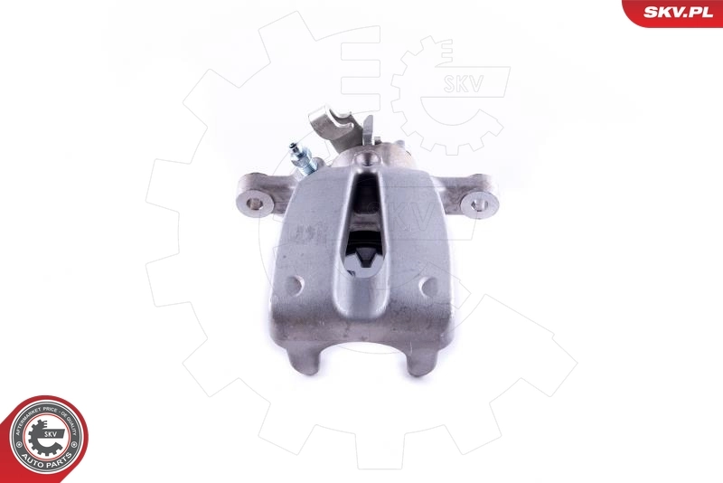 Brake Caliper 55SKV123