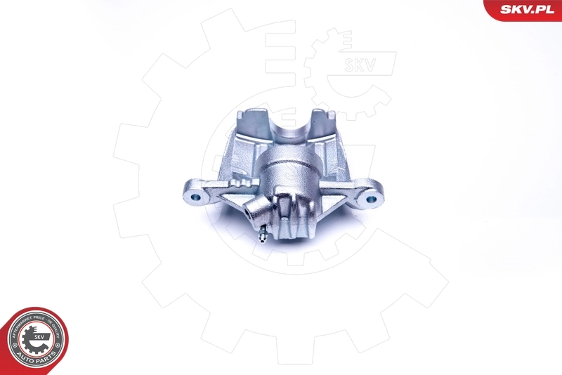 Brake Caliper 42SKV842