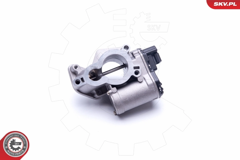 EGR Valve 14SKV184