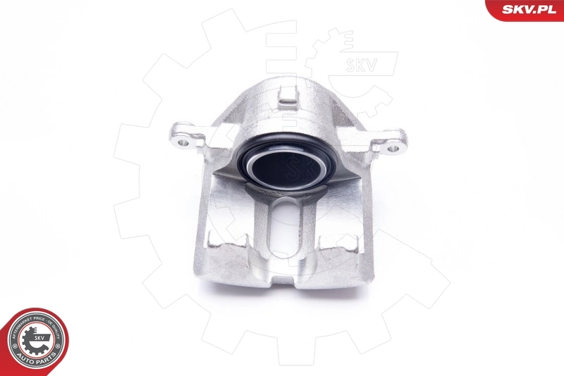 Brake Caliper 34SKV841