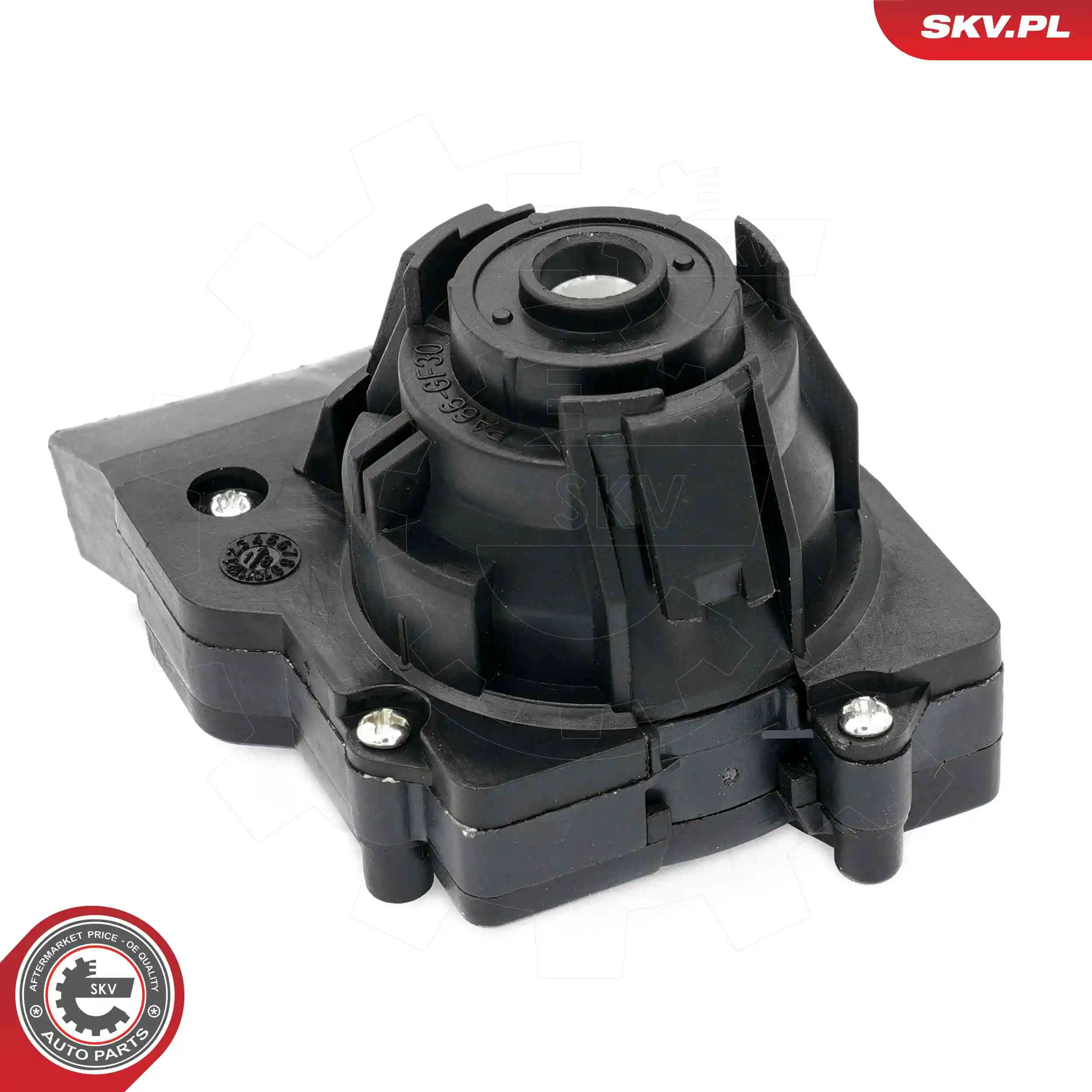 Ignition Switch 65SKV019