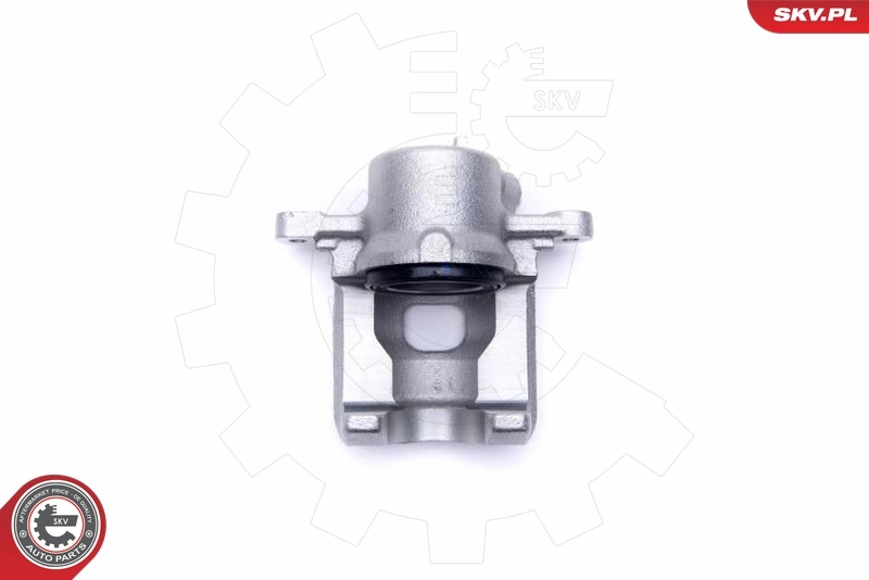 Brake Caliper 56SKV012
