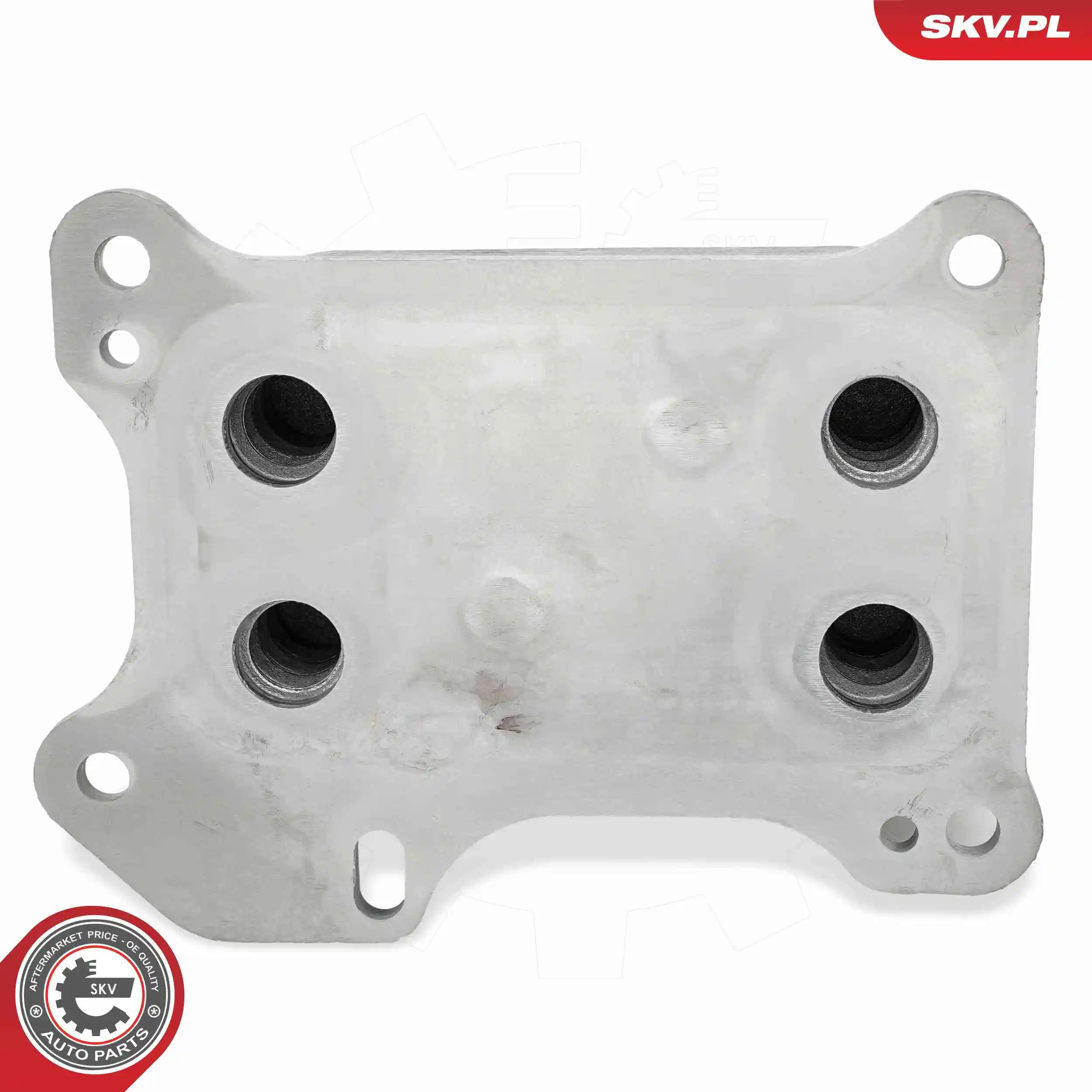 Oil Cooler, engine oil 31SKV275