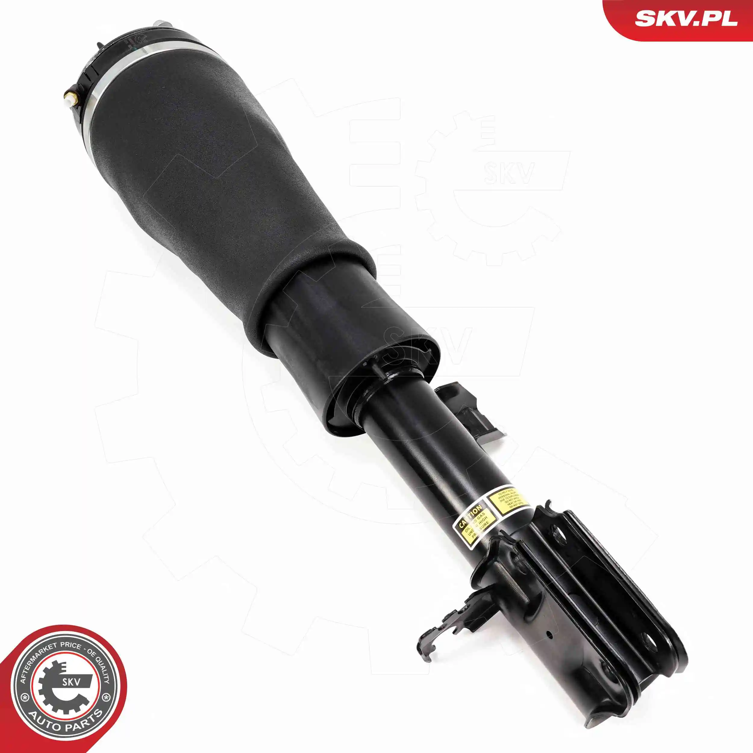 Air Suspension Strut 58SKV710