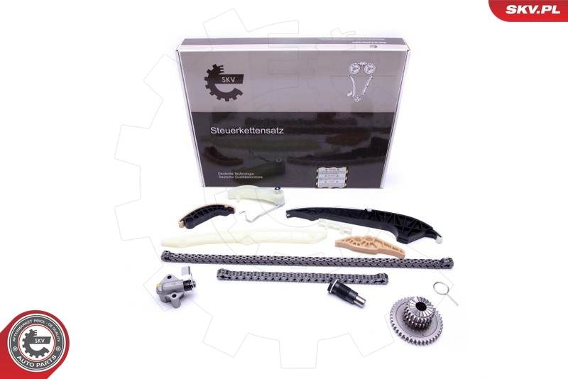 Timing Chain Kit 21SKV161