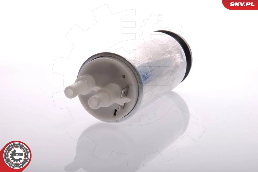 Fuel Pump 02SKV266