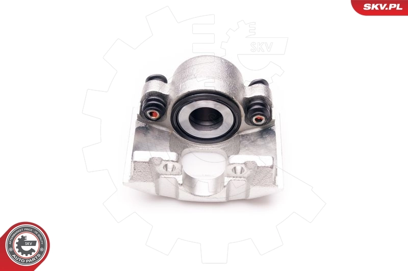 Brake Caliper 34SKV301