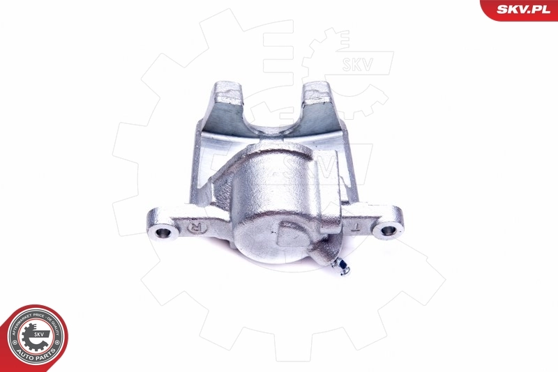 Brake Caliper 42SKV794