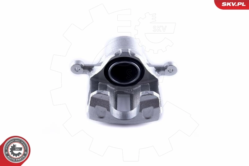 ESEN SKV 50SKV781 Brake Caliper