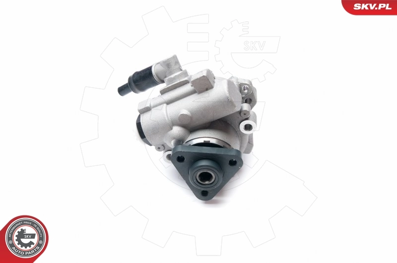 转向助力泵 10SKV221