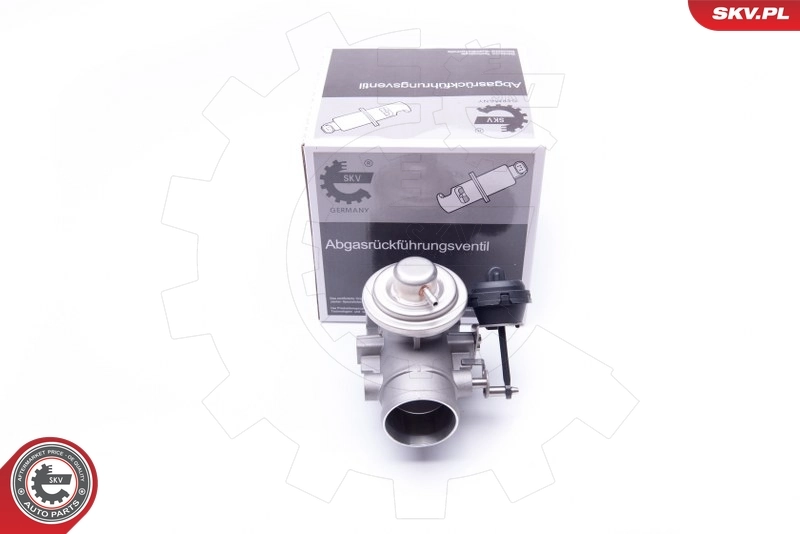 EGR Valve 14SKV107