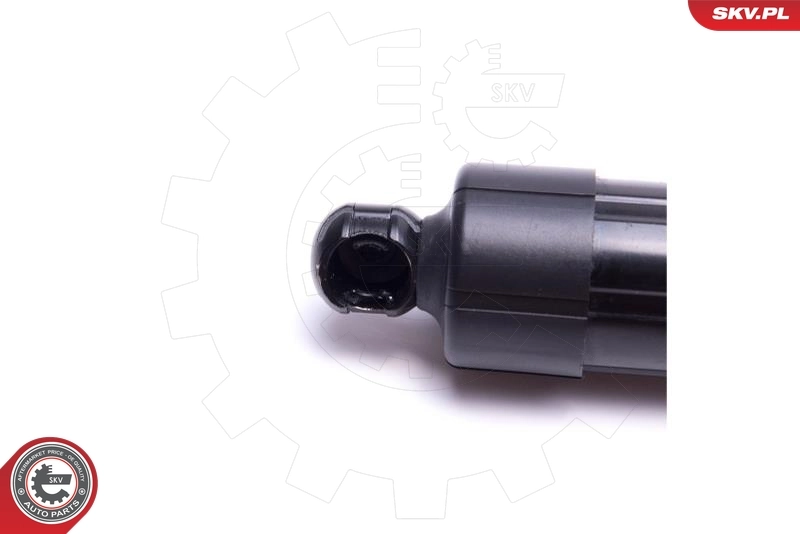 Electric Motor, tailgate 52SKV906