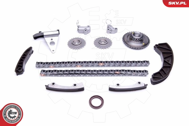 Timing Chain Kit 21SKV225