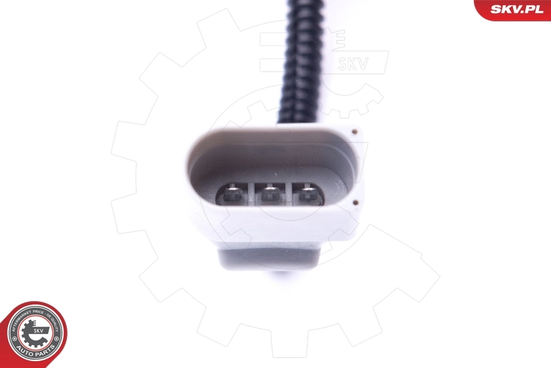 Sensor, camshaft position 17SKV486