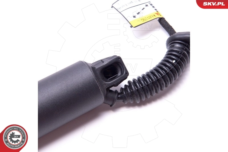 Electric Motor, tailgate 52SKV943