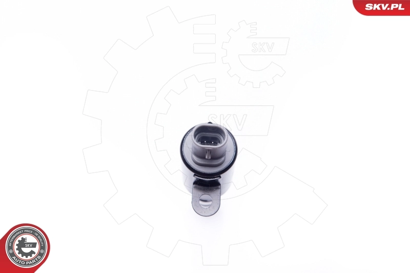 Control Valve, camshaft adjustment 39SKV025