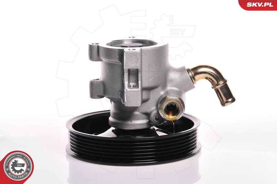 Hydraulic Pump, steering 10SKV142