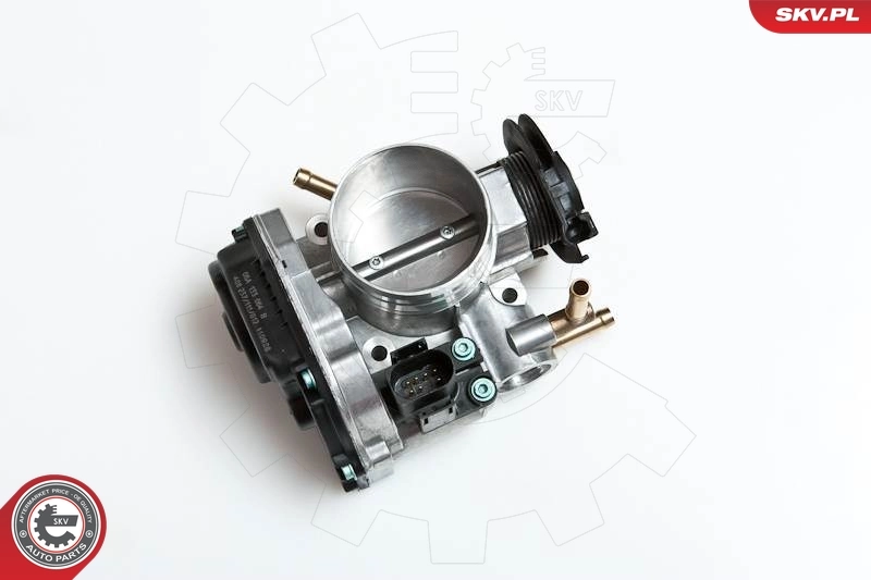 Throttle Body 12SKV036