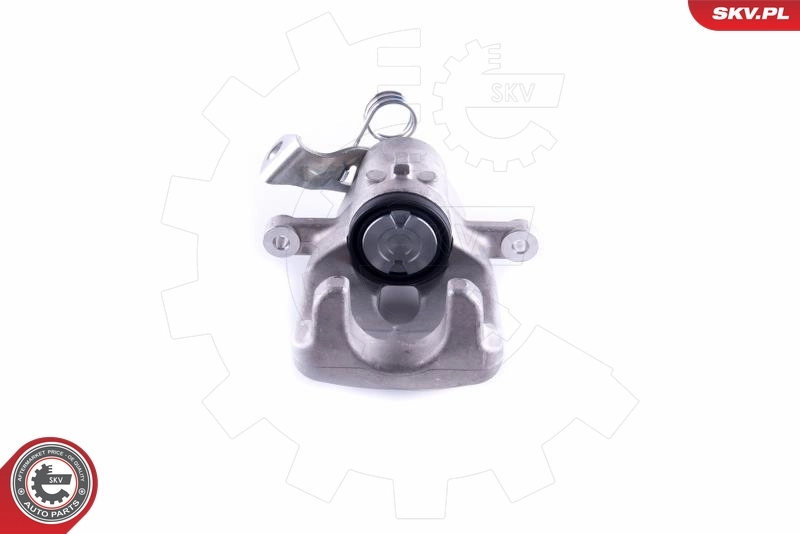 Brake Caliper 55SKV204