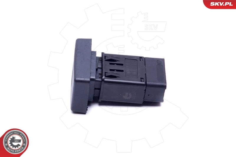 Hazard Warning Light Switch 36SKV724