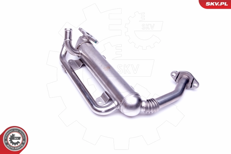 EGR Valve 14SKV223