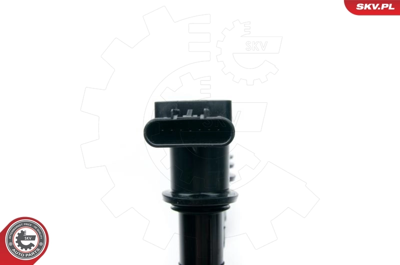ESEN SKV 03SKV254 Ignition Coil