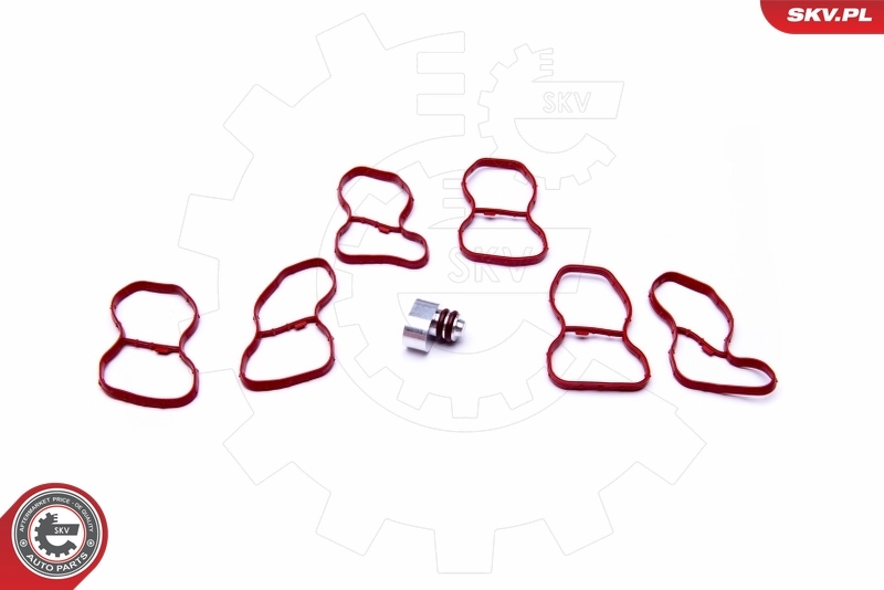 Repair Kit, intake manifold module 49SKV516