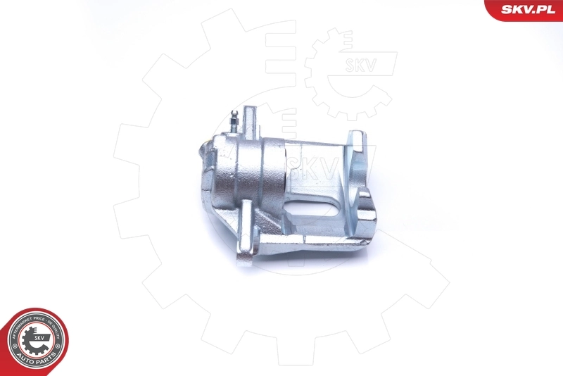 Brake Caliper 42SKV222