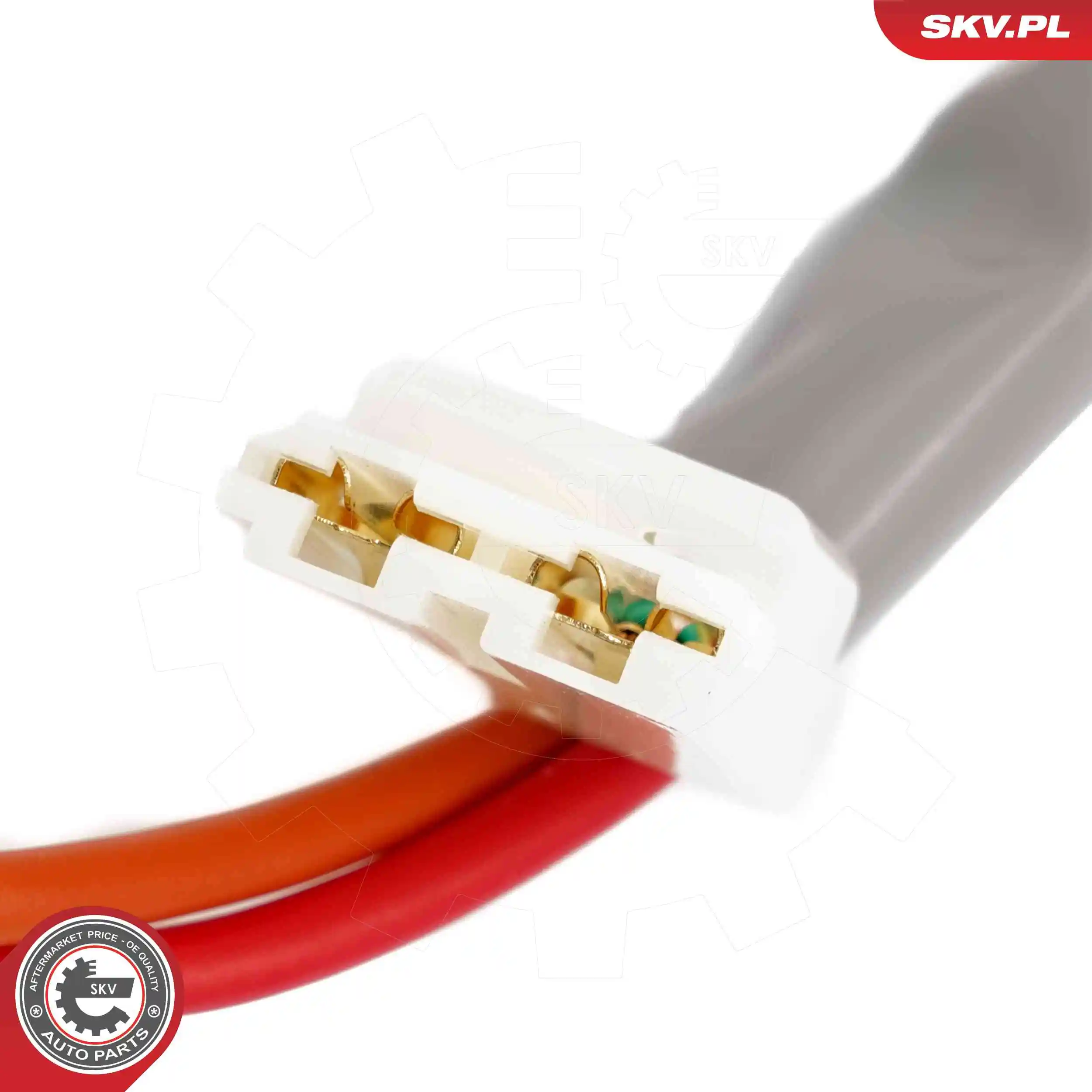 ESEN SKV 65SKV209 Steering Lock