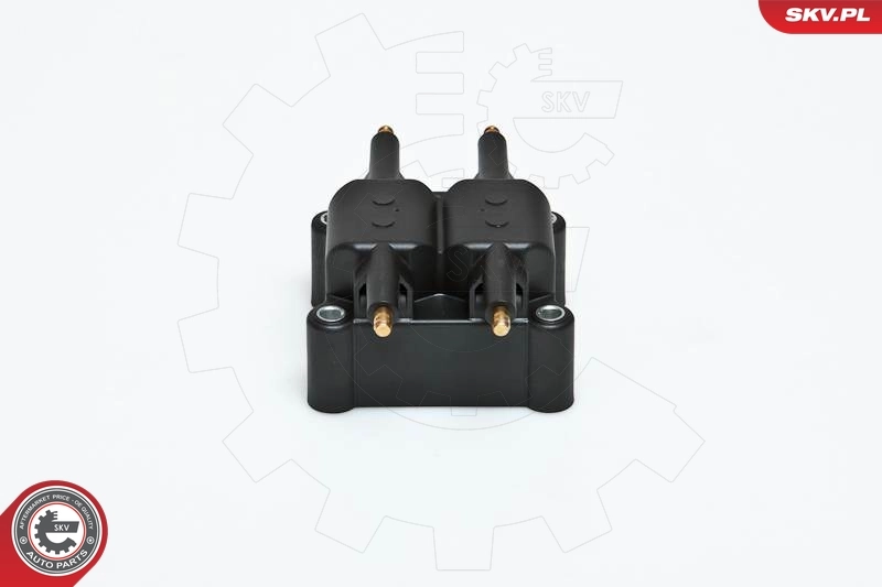 Ignition Coil 03SKV078