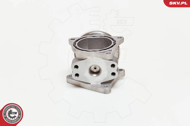 EGR Valve 14SKV019
