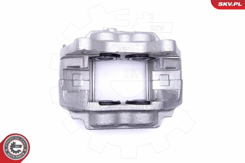 Brake Caliper 50SKV152