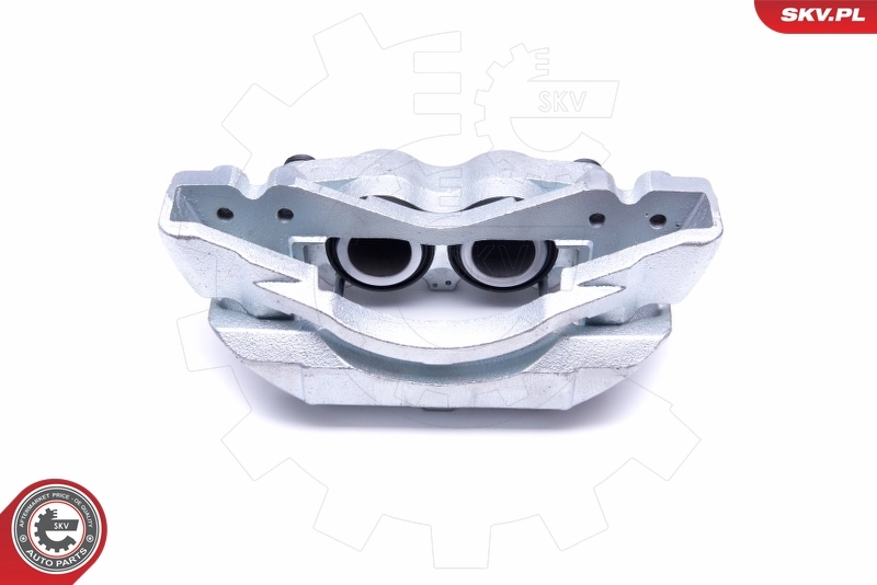 Brake Caliper 50SKV261