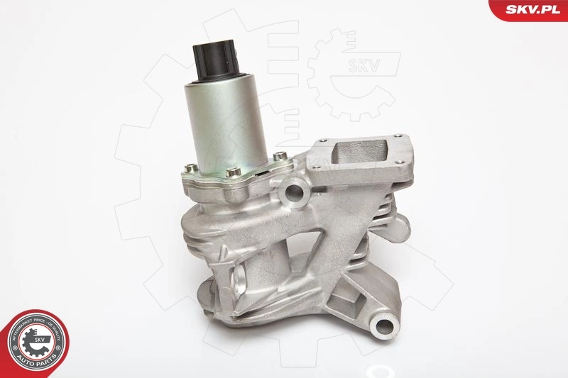 EGR Valve 14SKV036