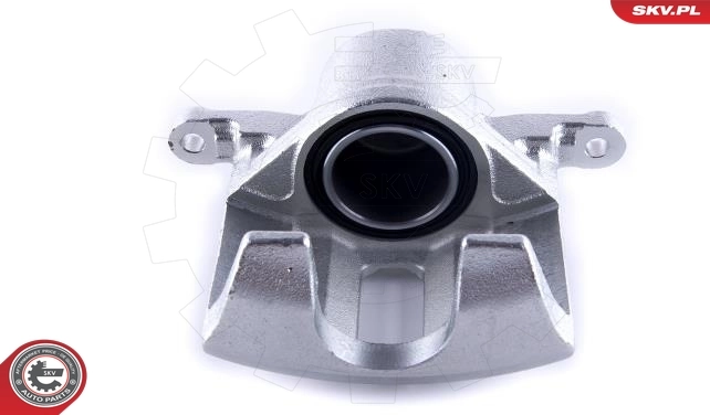 Brake Caliper 55SKV241