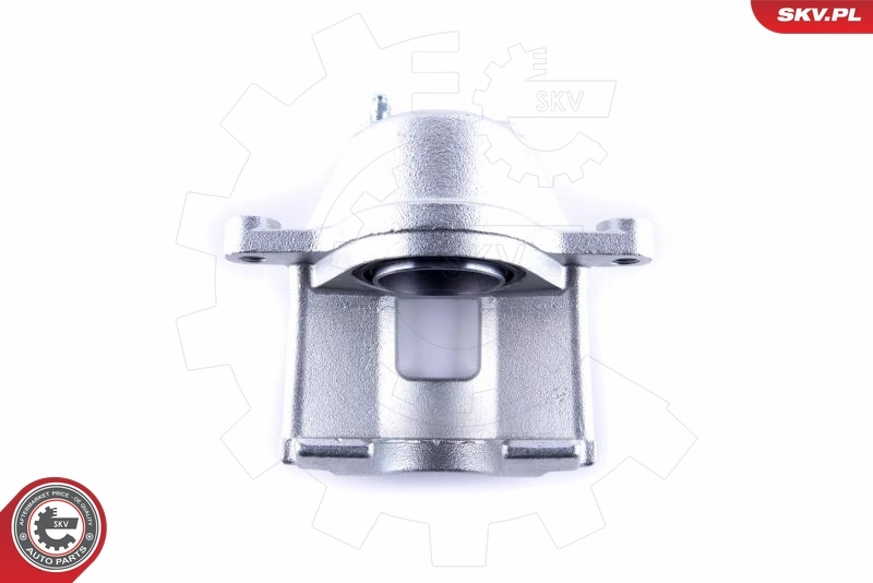 Brake Caliper 55SKV461