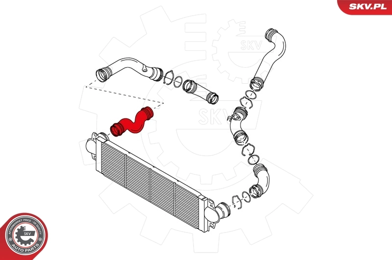 Charge Air Hose 24SKV015