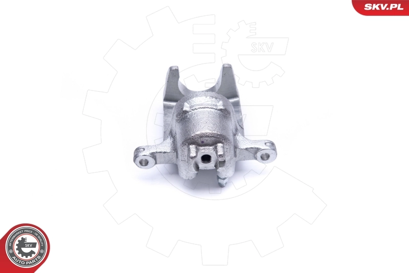 Brake Caliper 42SKV244
