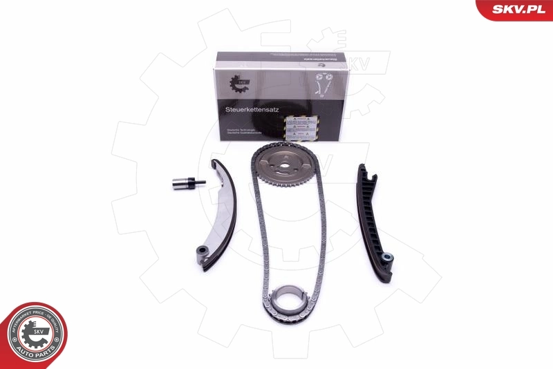 Timing Chain Kit 21SKV113