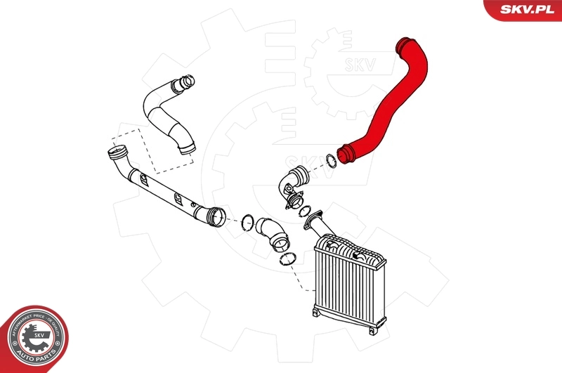 Charge Air Hose 24SKV144
