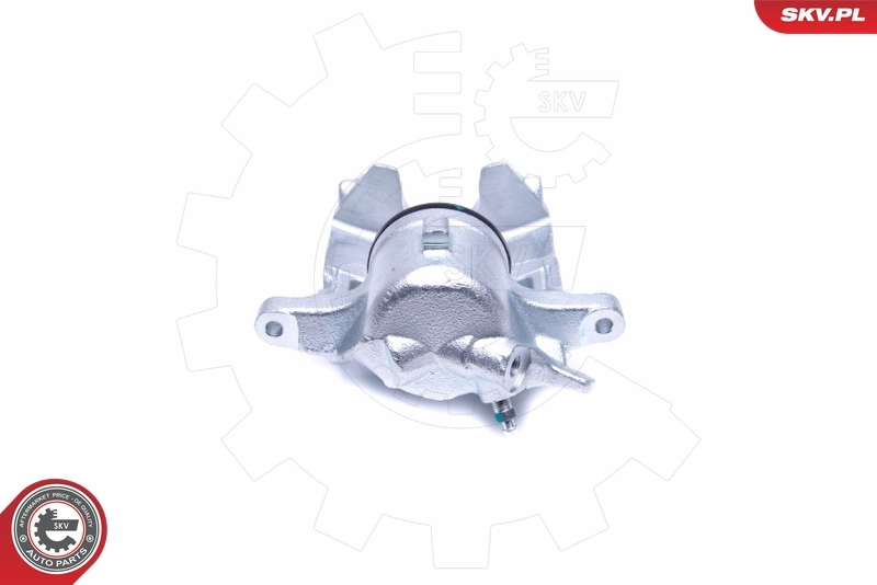Brake Caliper 50SKV321