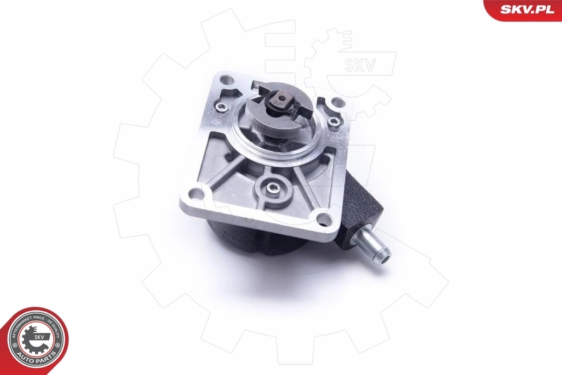 Vacuum Pump, braking system 18SKV027