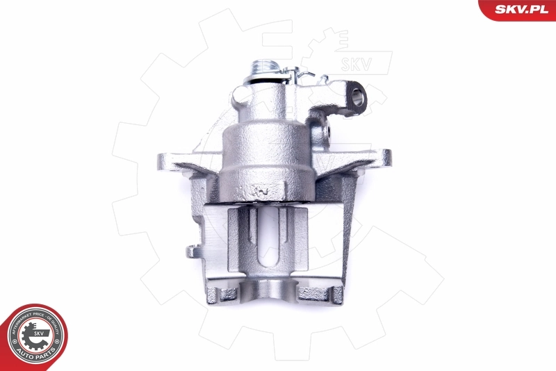Brake Caliper 42SKV912