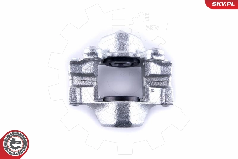 Brake Caliper 55SKV223