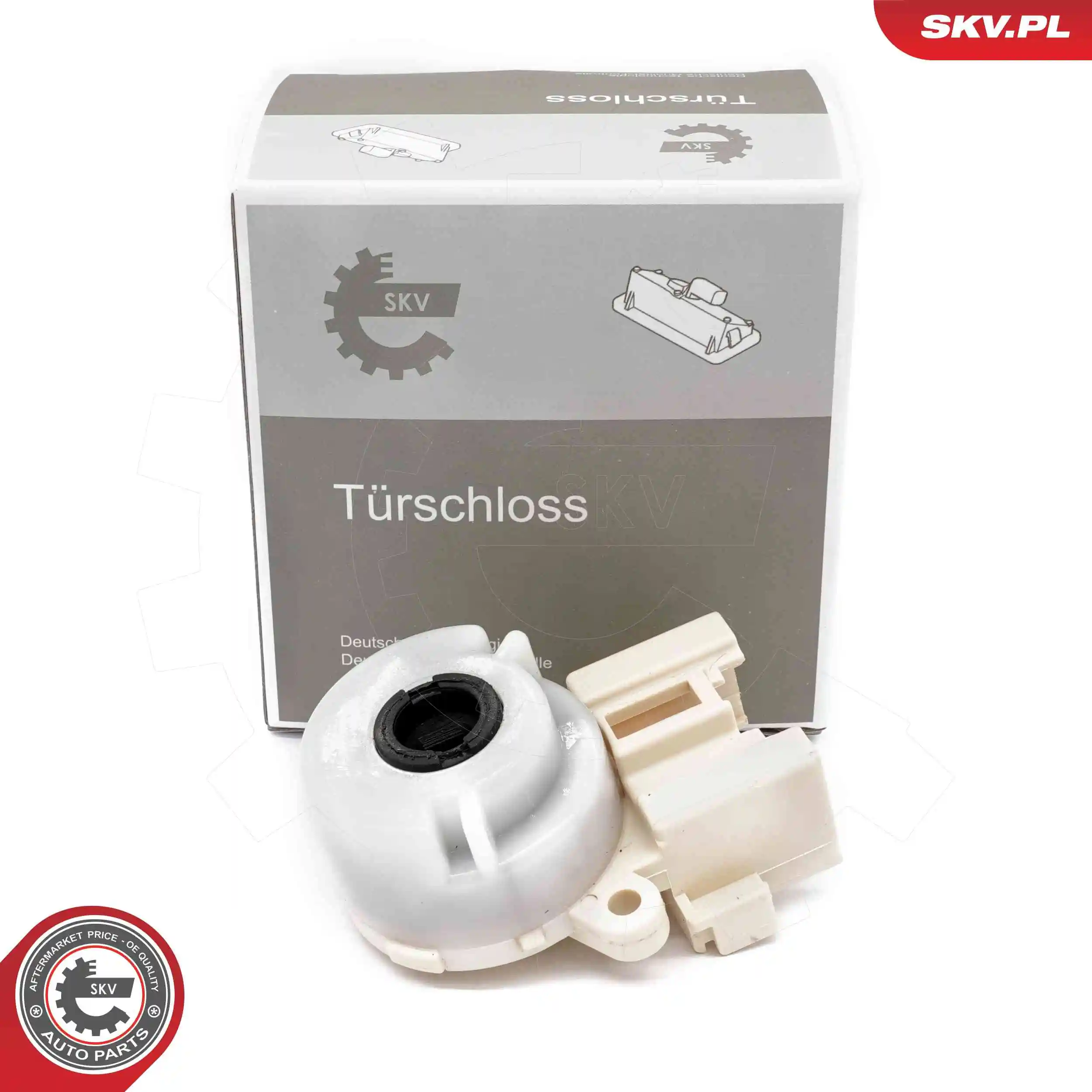 Ignition Switch 65SKV035